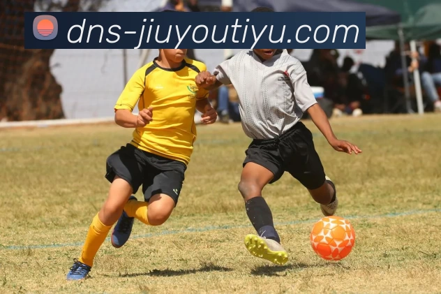 JIUYOU平台生态图